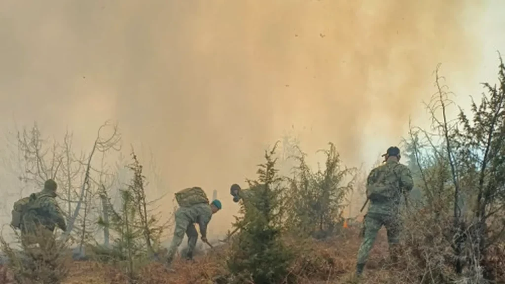 Spania anunță sfârșitul incendiilor devastatoare care au ars 350.000 de hectare
