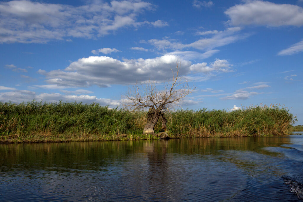 Navigație îngreunată în Delta Dunării: Avertisment asupra cotelor scăzute ale apei