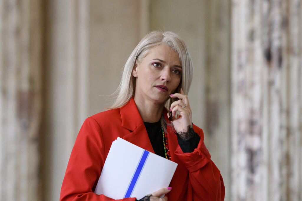 „România fără violență”. Parlamentul înființează Comisia specială pentru combaterea violenței domestice și a violenței de gen