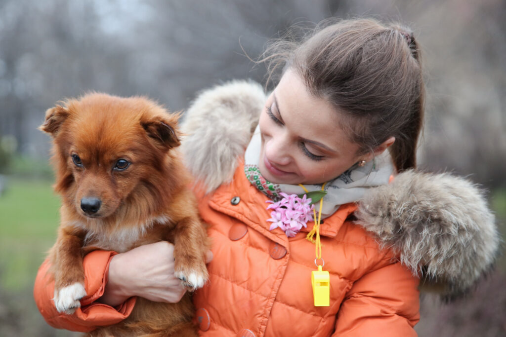 Firmă de gestionare a câinilor maidanezi, suspectată că a încasat bani publici pentru eutanasieri inexistente