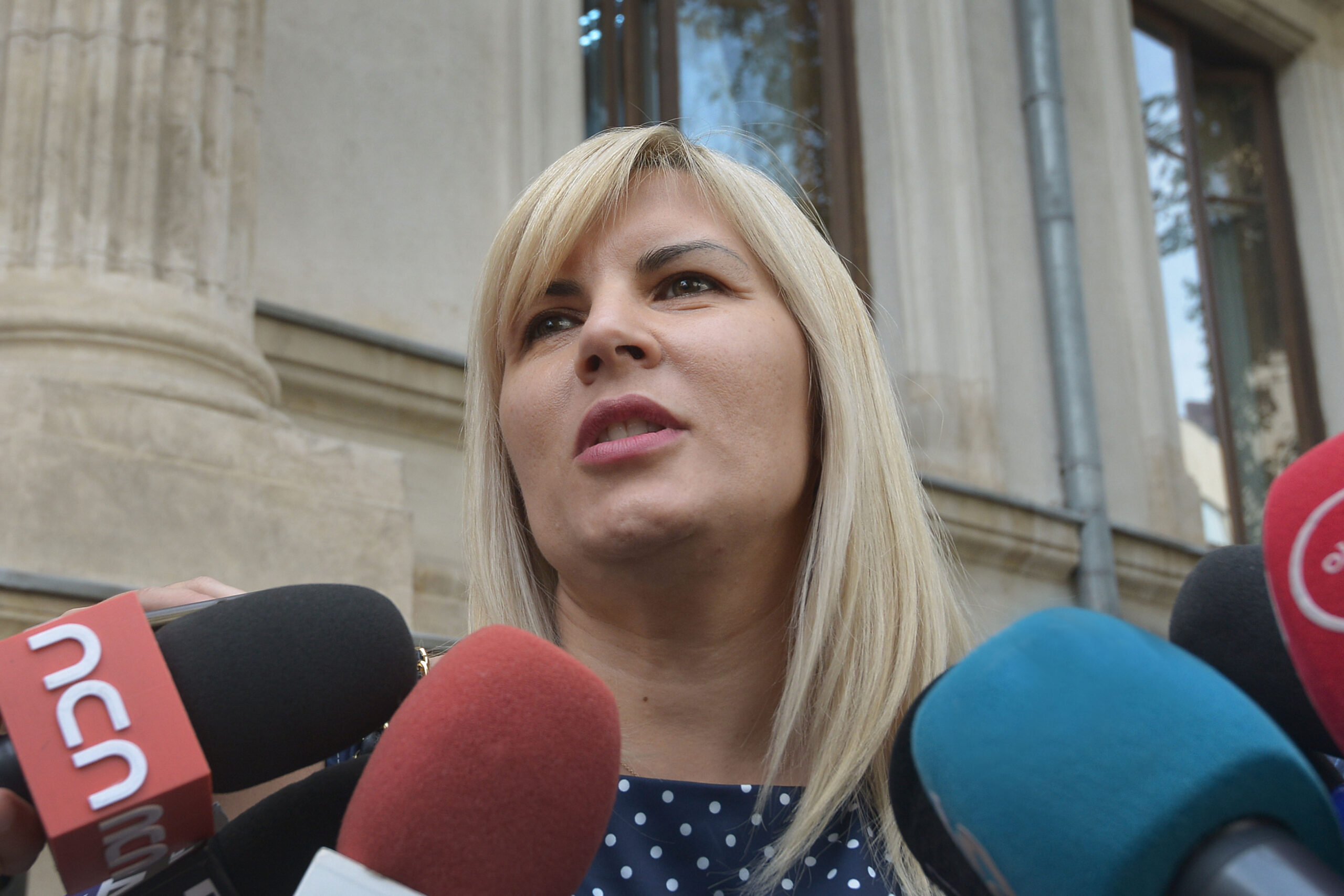 Elena Udrea află joi dacă scapă de închisoare