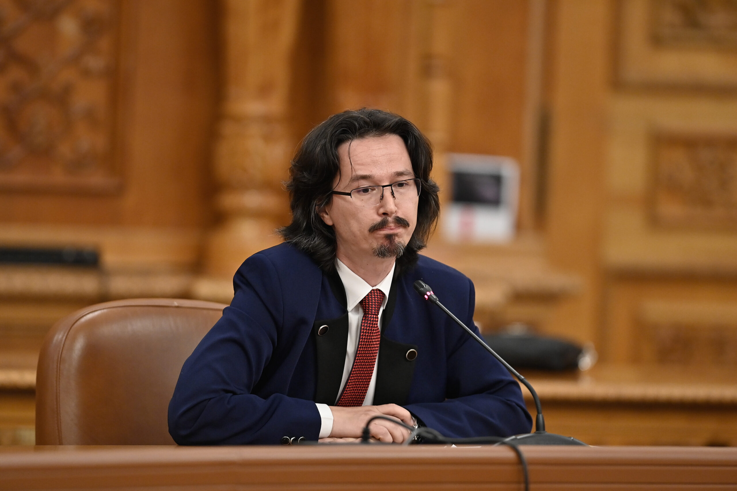 Cristi Danileț cere demisia Liei Savonea