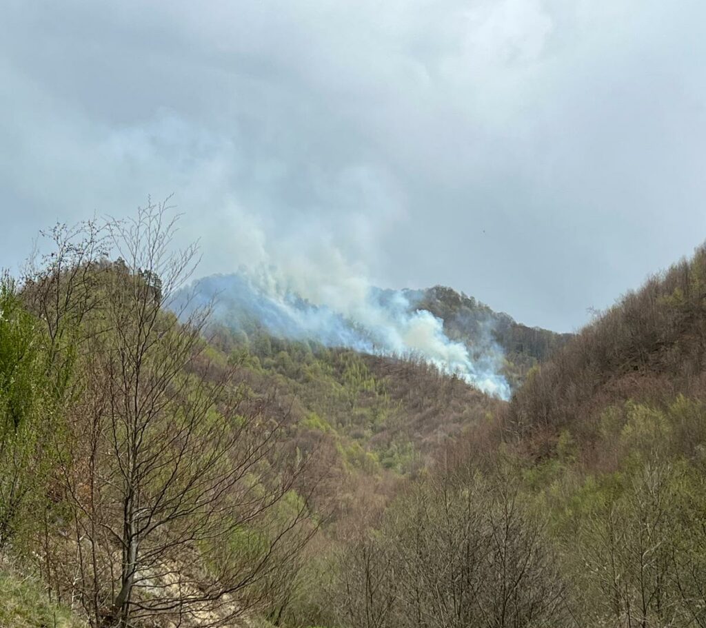 Incendiu de proporții în Maramureș: ard vegetație uscată și litieră