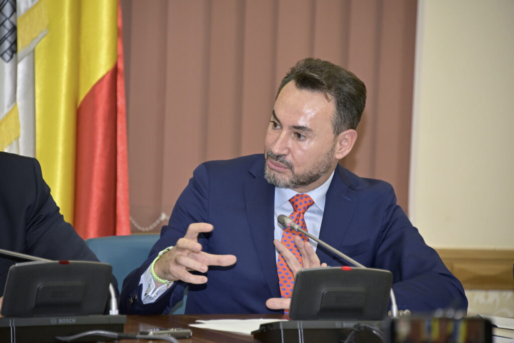 Gheorghe Falcă, Vicepreședinte PNL: Părem o echipă neserioasă, riscăm blocarea fondurilor europene