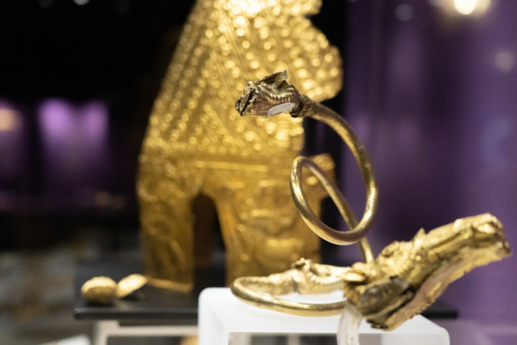 Jaful Tezaurului Dacic / Parchetul olandez cere pedepse de 5,5 ani de închisoare pentru autorii jafului / Mamei celui mai mic dintre tâlhari nu-i vine să creadă cu ce se ocupa fiul ei