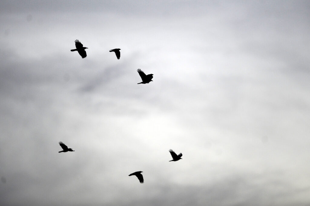 METEO. Cum va fi vremea în următoarele patru săptămâni. Prognoza ANM
