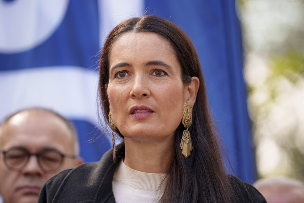 Clotilde Armand susține că „rețeaua Ciolacu – Docuz s-a conectat la fondurile pentru copiii din S1”