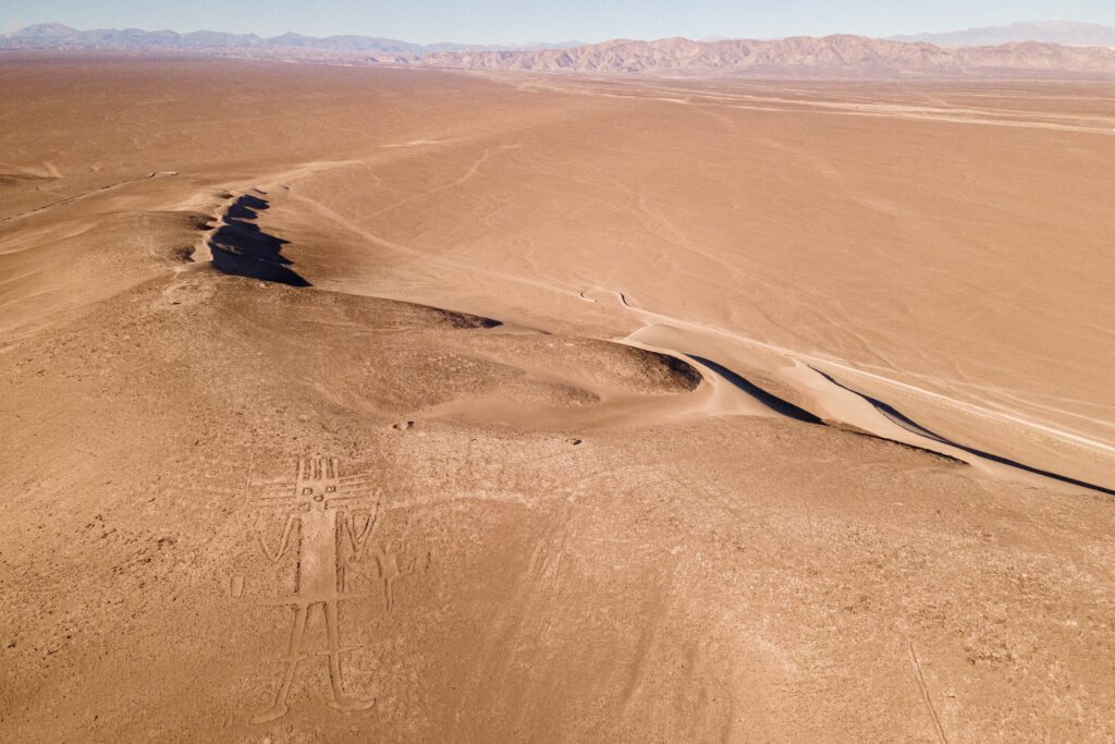 Cum se cultivă salata și lămâile în cel mai arid loc din lume?