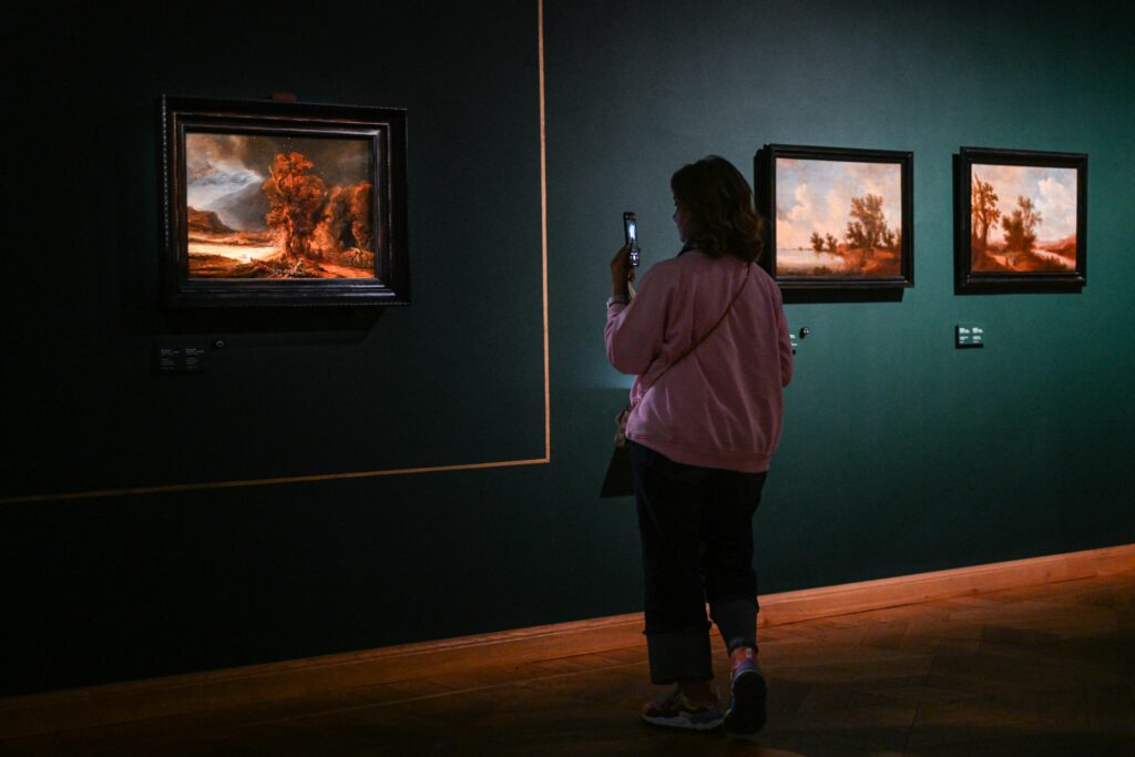 Muzeele din Lyon, vizate de un atac cibernetic. Sistemul de bilete online este blocat de o săptămână