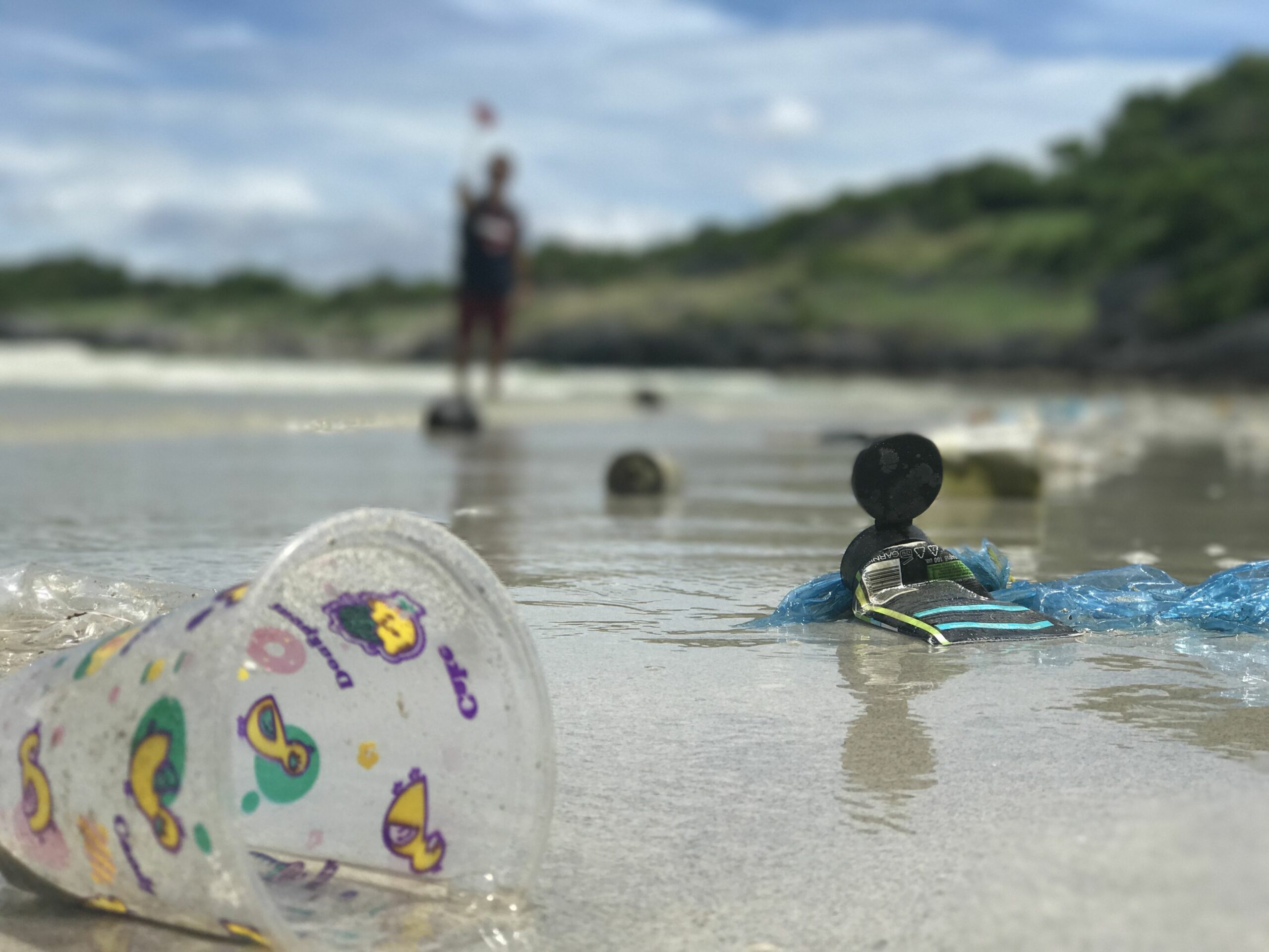 Studiu. Interzicerea și taxarea pungilor de plastic reduc deșeurile de pe țărmurile SUA