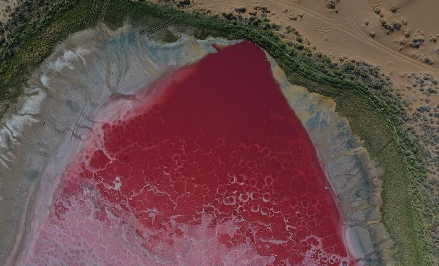 Grupuri uriașe de turiști, în pelerinaj la un lac roz din deșertul Badain Jaran din China