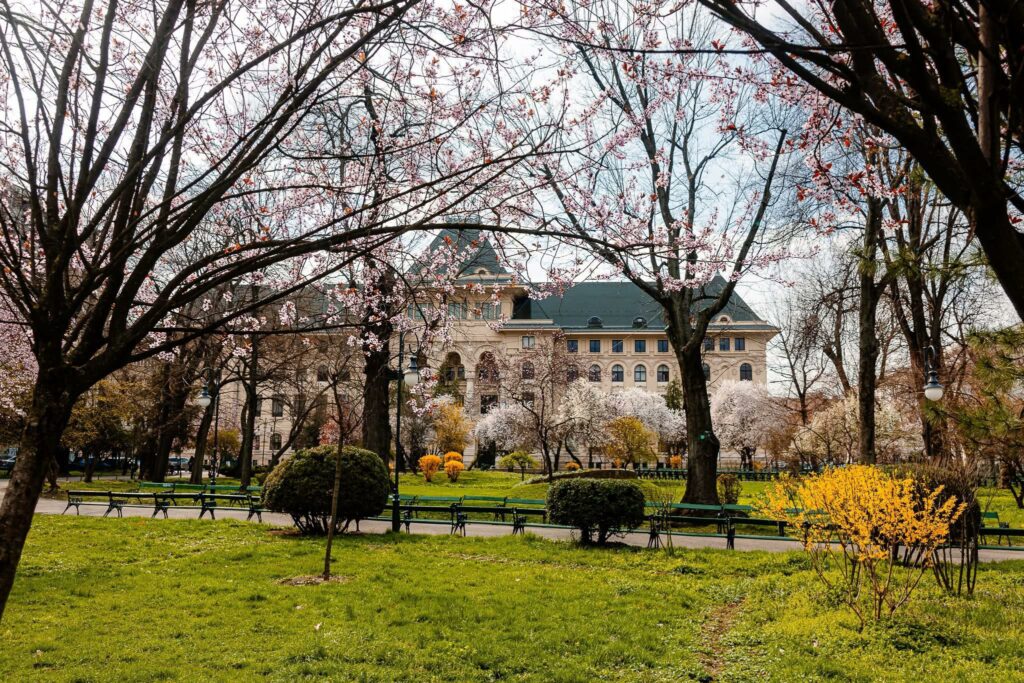 Avangarde Poll: Who leads the top of Bucharest residents’ preferences for the Capital City Hall