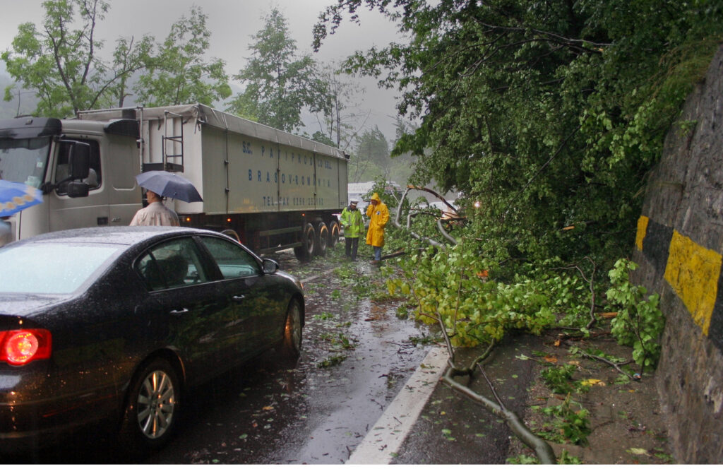 Trafic blocat parțial pe DN1 la Sinaia din cauza copacilor doborâți de vânt