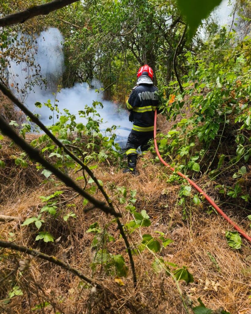 Incendiul de la Chilia a reizbucnit. Pompierii și Forțele Aeriene mobilizate pentru stingerea flăcărilor