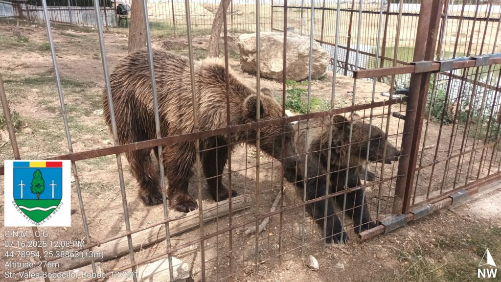 Grădină Zoologică improvizată, descoperită de Garda de Mediu în Dâmbovița