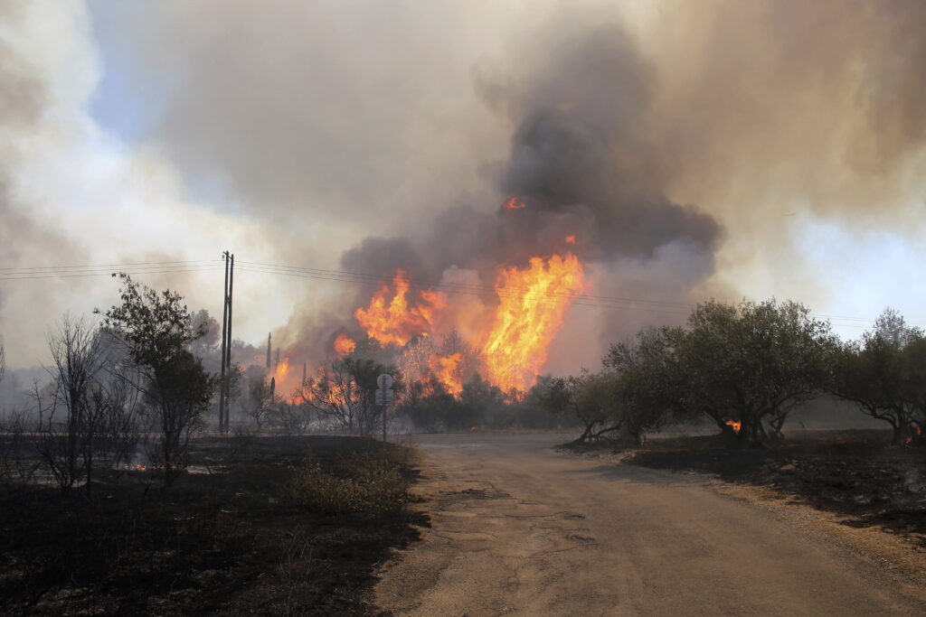 Atenționare pentru românii care călătoresc în Franța: risc crescut de incendii de vegetație
