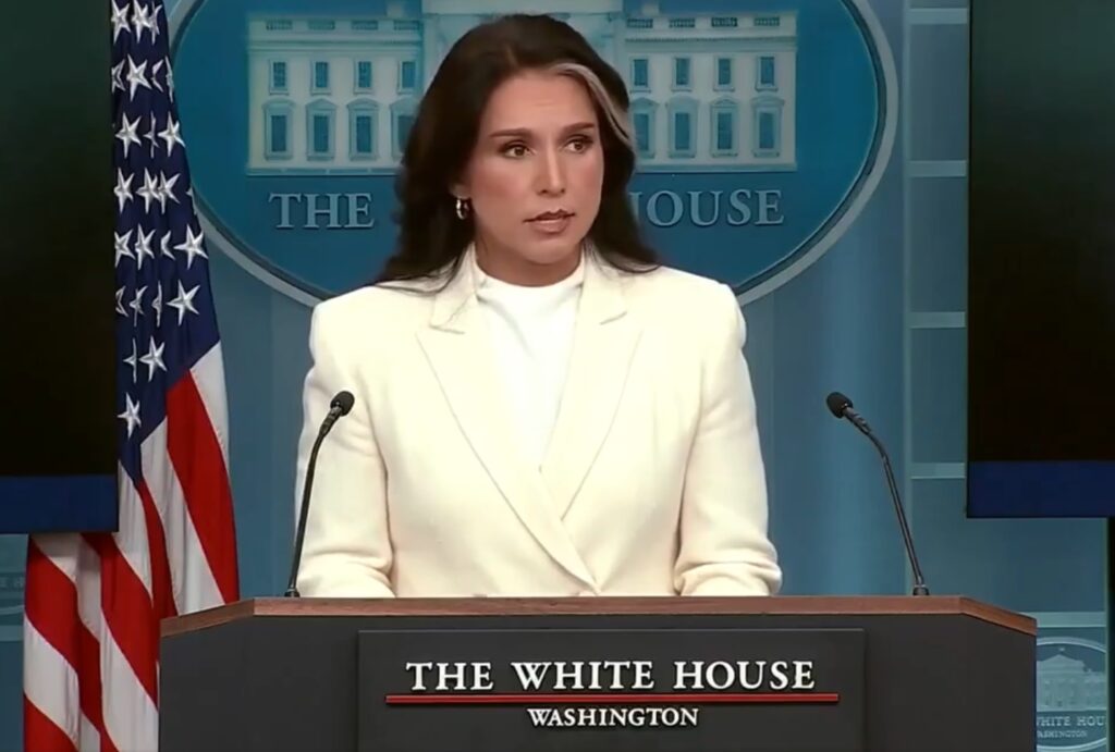 Tulsi Gabbard și conspirația anti-Trump: Documentele declasificate nu-i susțin teoria însă arată interferența Rusiei