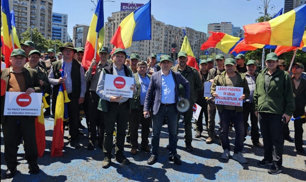 SILVA, protest față de reorganizarea Romsilva: „Guvernul pune în pericol pădurile statului”