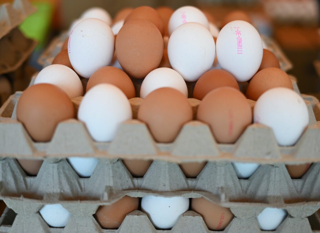 Nutrienții din ouă ar putea reduce riscul de a dezvolta Alzheimer. Recomandările specialiștilor