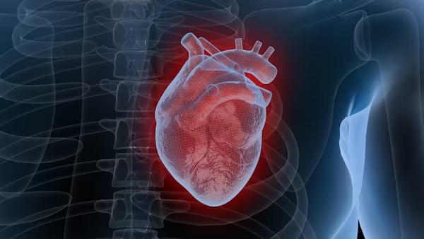 Un cardiolog dezvăluie care sunt cele cinci comportamente care pot afecta sănătatea inimii