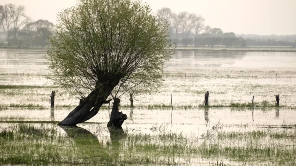 Cod portocaliu de inundații pe râuri din Satu Mare și Sălaj