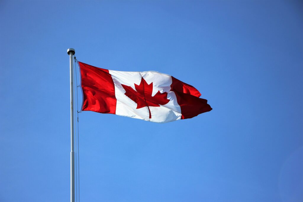 Canada impune restricţii de circulaţie pe ocean pentru a proteja o balenă pe cale de dispariţie