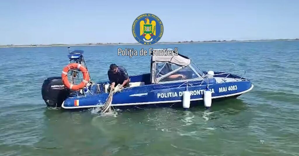 Braconaj în Marea Neagră: Un delfin și opt sturioni prinşi în plasele ilegale, eliberaţi in mediul natural