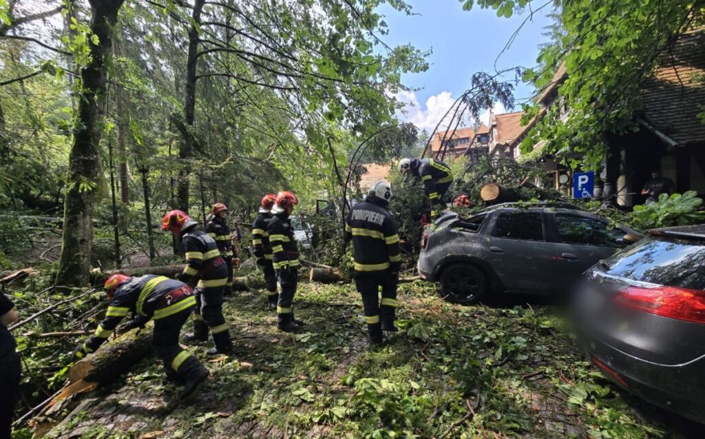Pagube și copaci prăbușiți: 34 de localități din 17 județe și Capitala, afectate de furtunile de miercuri