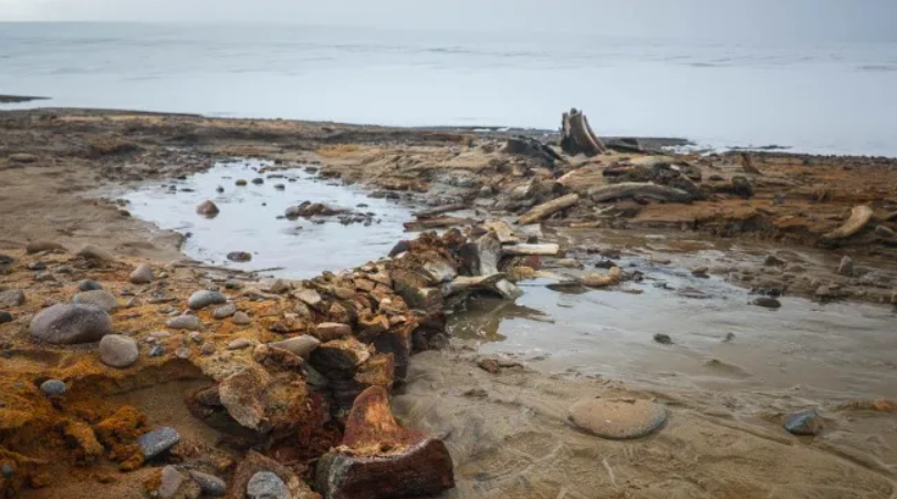 Cimitir străvechi de balene, descoperit sub un ghețar arctic în retragere