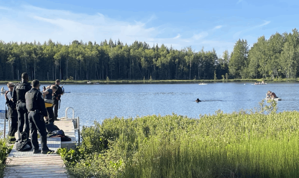 Un student român, aflat în SUA prin Work and Travel, și-a pierdut viața într-un lac din Alaska