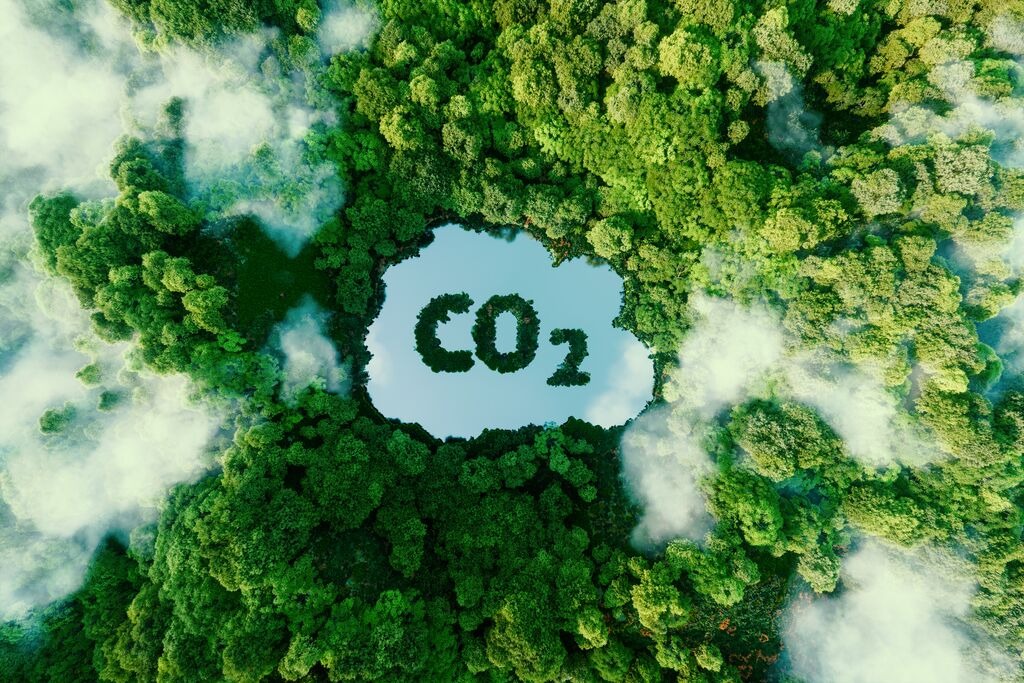 Contribuția Grupului SGS la un viitor mai verde: Reducerea amprentei de carbon