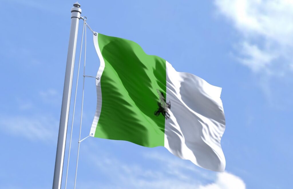 Peste 40 de membri ai grupurilor de autoapărare uciși în Nigeria într-o ambuscadă mortală