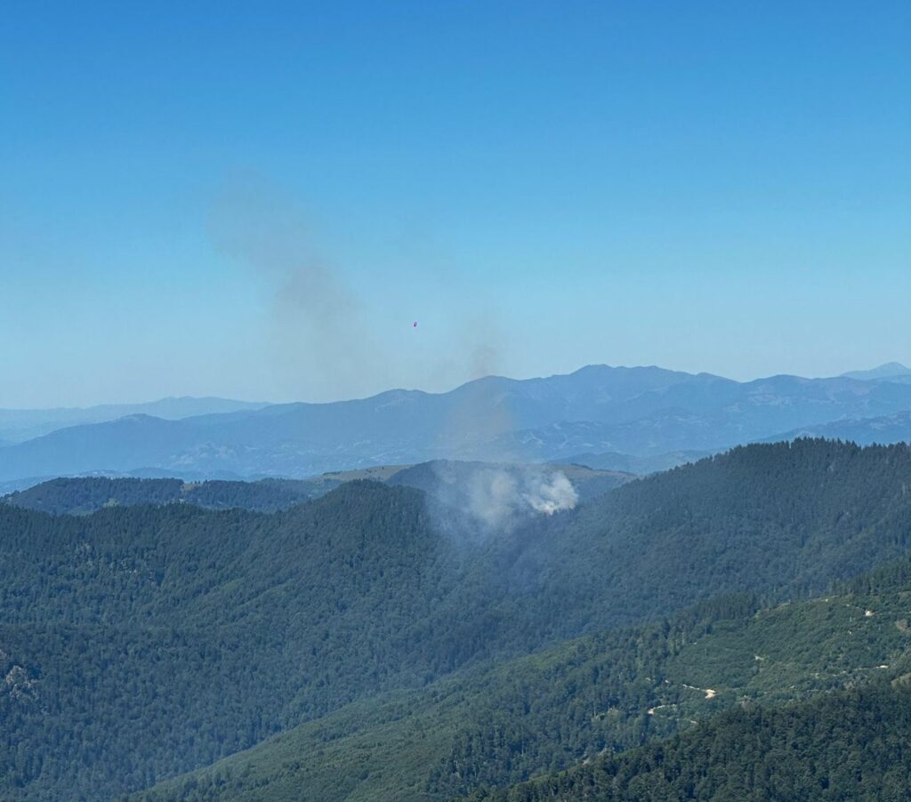 Incendiu de proporții în Masivul Țibleș. Intervenție aeriană și terestră în zonă greu accesibilă