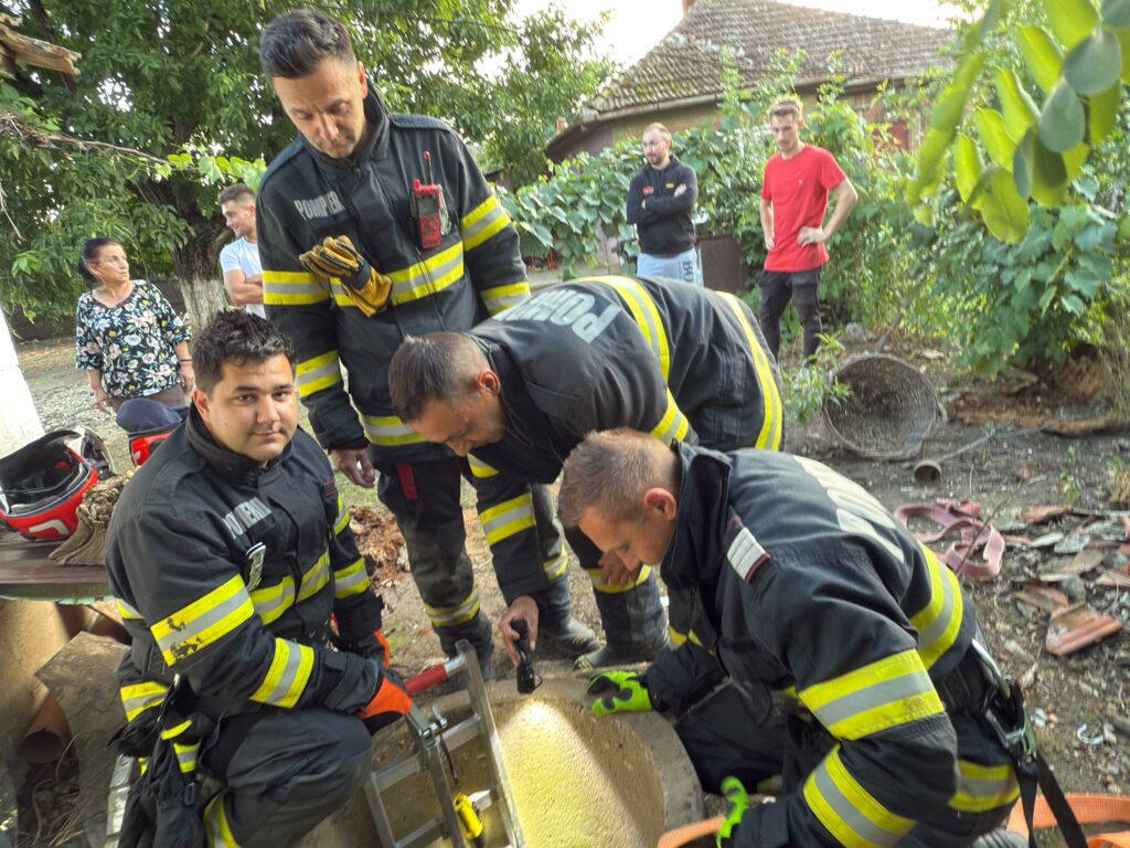 Doi pui de câine, salvați dintr-o fântâna îngustă și adâncă de nouă metri