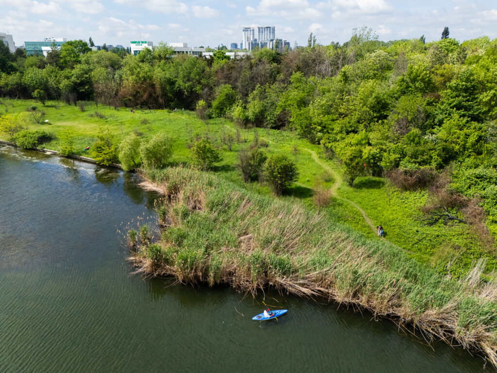 Bucureștiul are prima arie naturală protejată de interes local