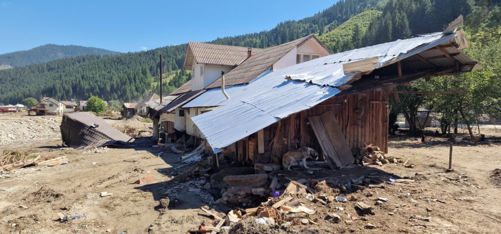 Toate casele grav afectate de viituri în Broșteni și-au găsit constructori, fără bani de la Guvern