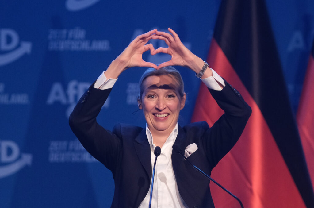 AfD, pe primul loc în cel mai recent sondaj din Germania. Nemții sunt nemulțumiți de Merz