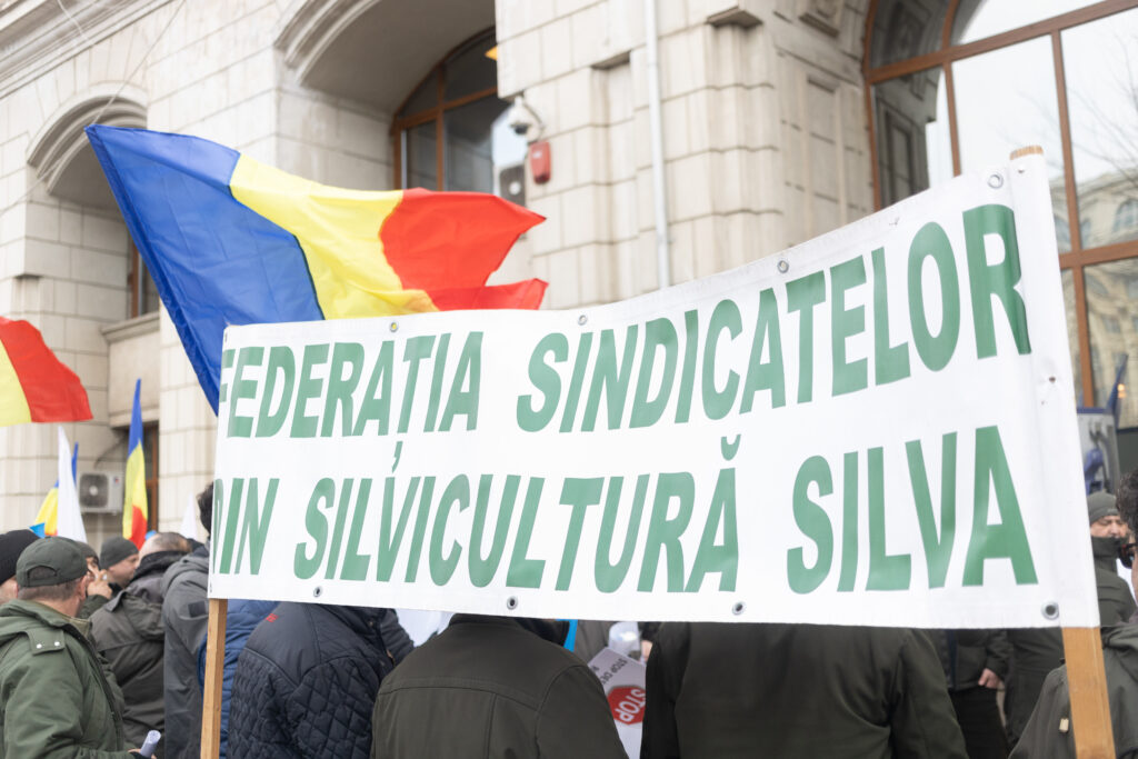 Federația SILVA: Ministerul Justiției solicită refacerea proiectului de HG privind „reforma” Romsilva