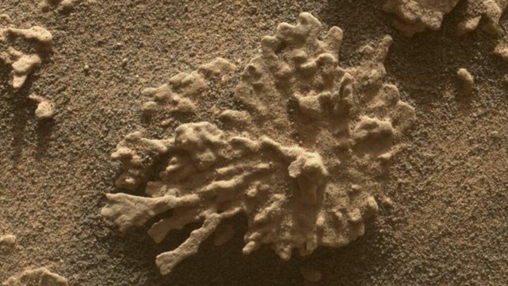 NASA susține că a descoperit pe Marte un „vizitator” din afara sistemului nostru solar