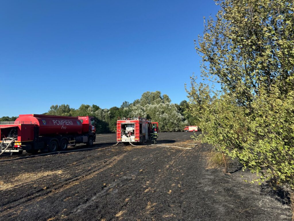 Incendiu de vegetație în Ilfov: 7 hectare, o locuință și două mașini afectate