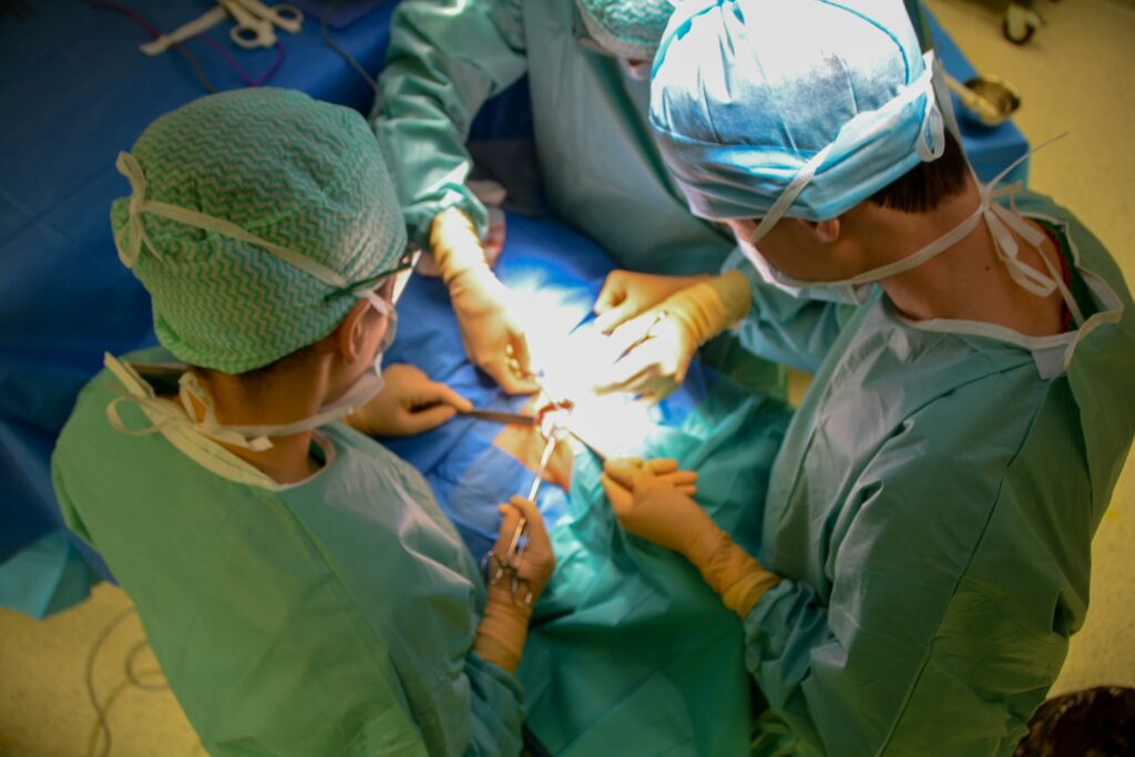 Premieră medicală în China: transplant de plămân de porc la un pacient aflat în moarte cerebrală