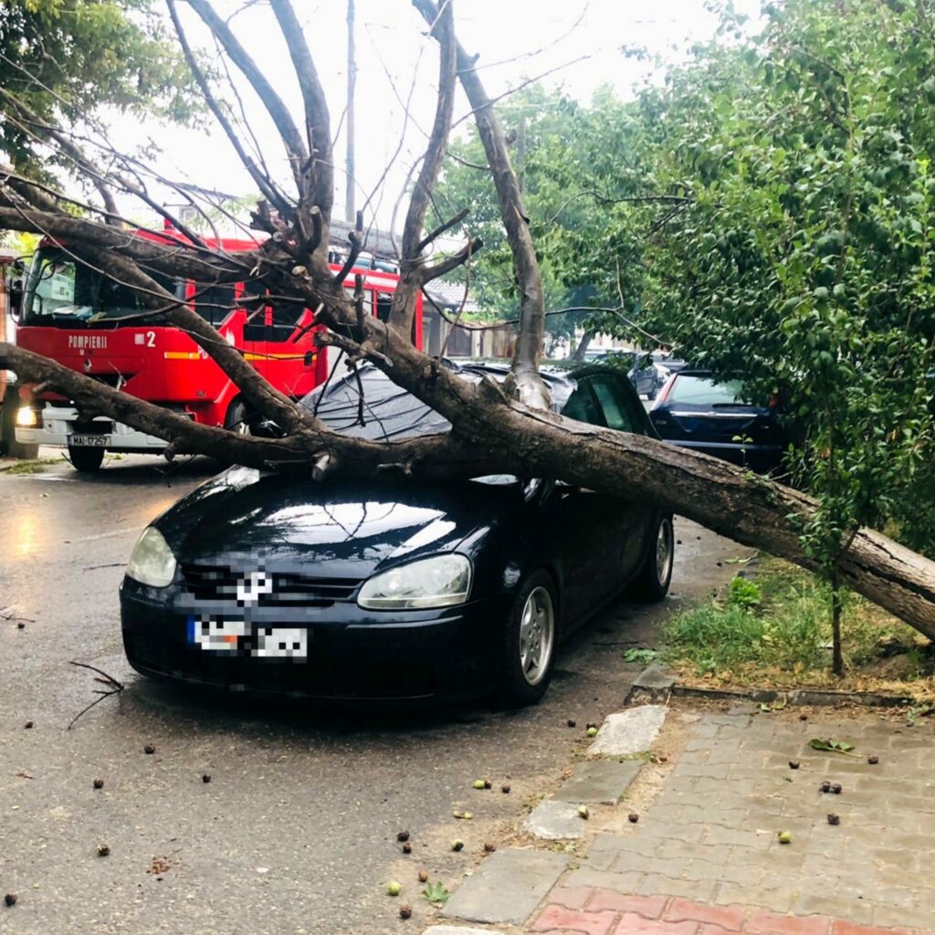 Vânt puternic și copaci doborâți în București și Giurgiu. Zeci de intervenții ale pompierilor