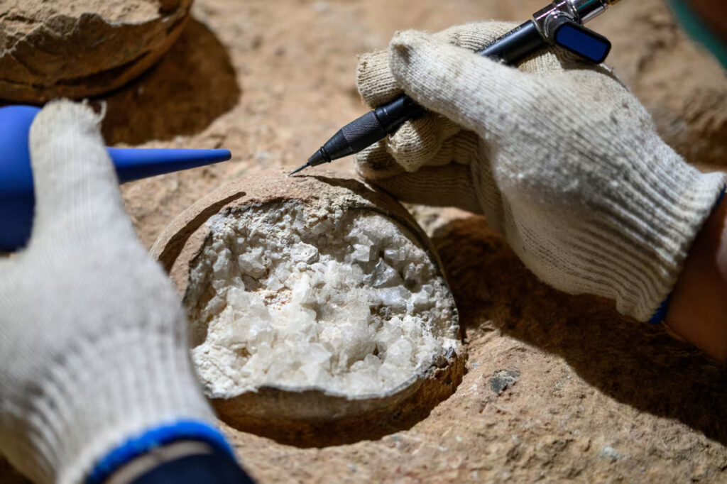 Ce vârstă au ouăle de dinozaur descoperite în China? Acestea au fost datate prin metoda „ceasului atomic”