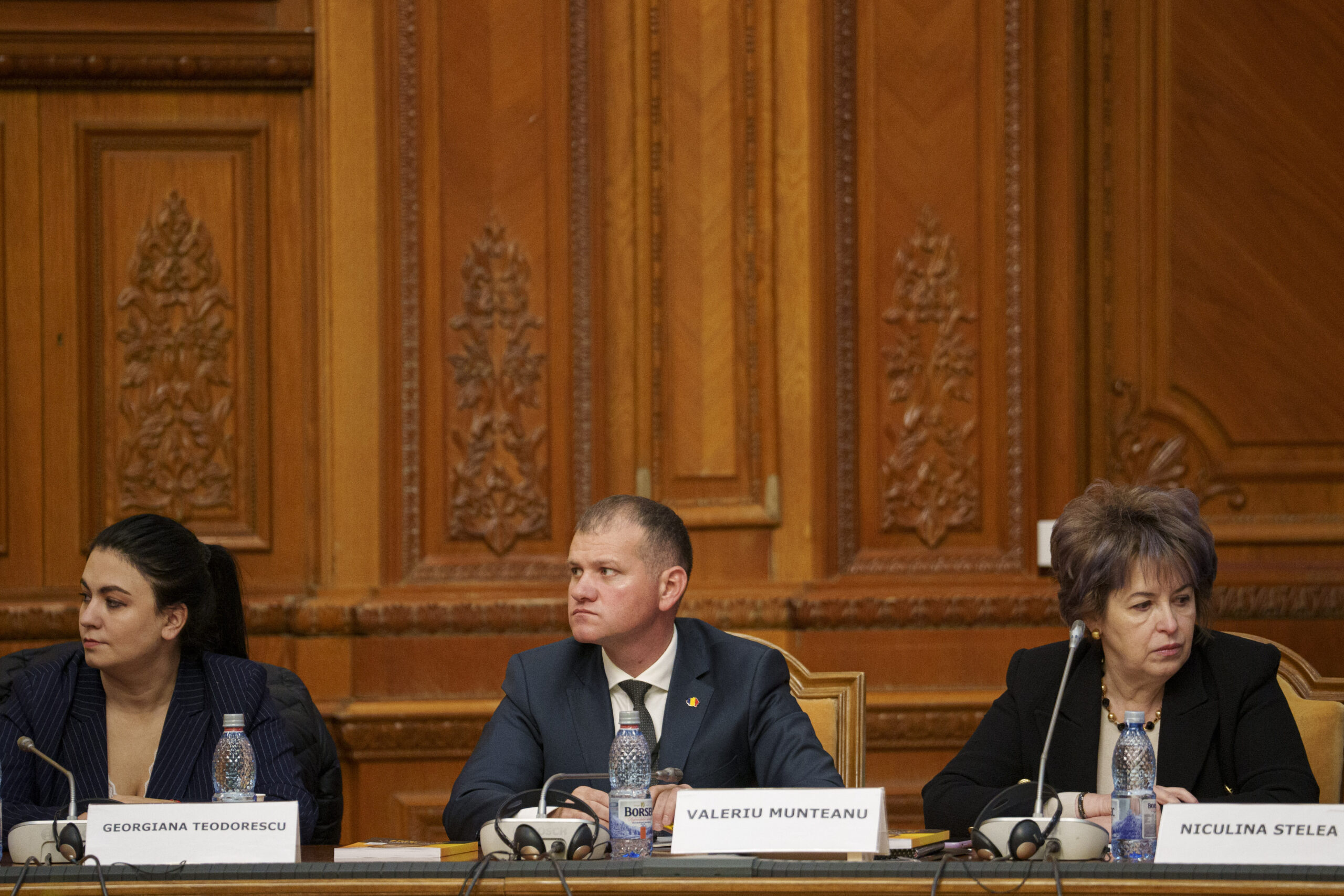 AUR depune moțiune simplă împotriva ministrei Mediului, Diana Buzoianu