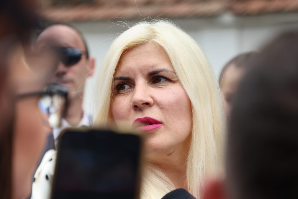 Premoniția Elenei Udrea: CCR va da câștig de cauză Guvernului. Încă nu e vremea să plece Bolojan