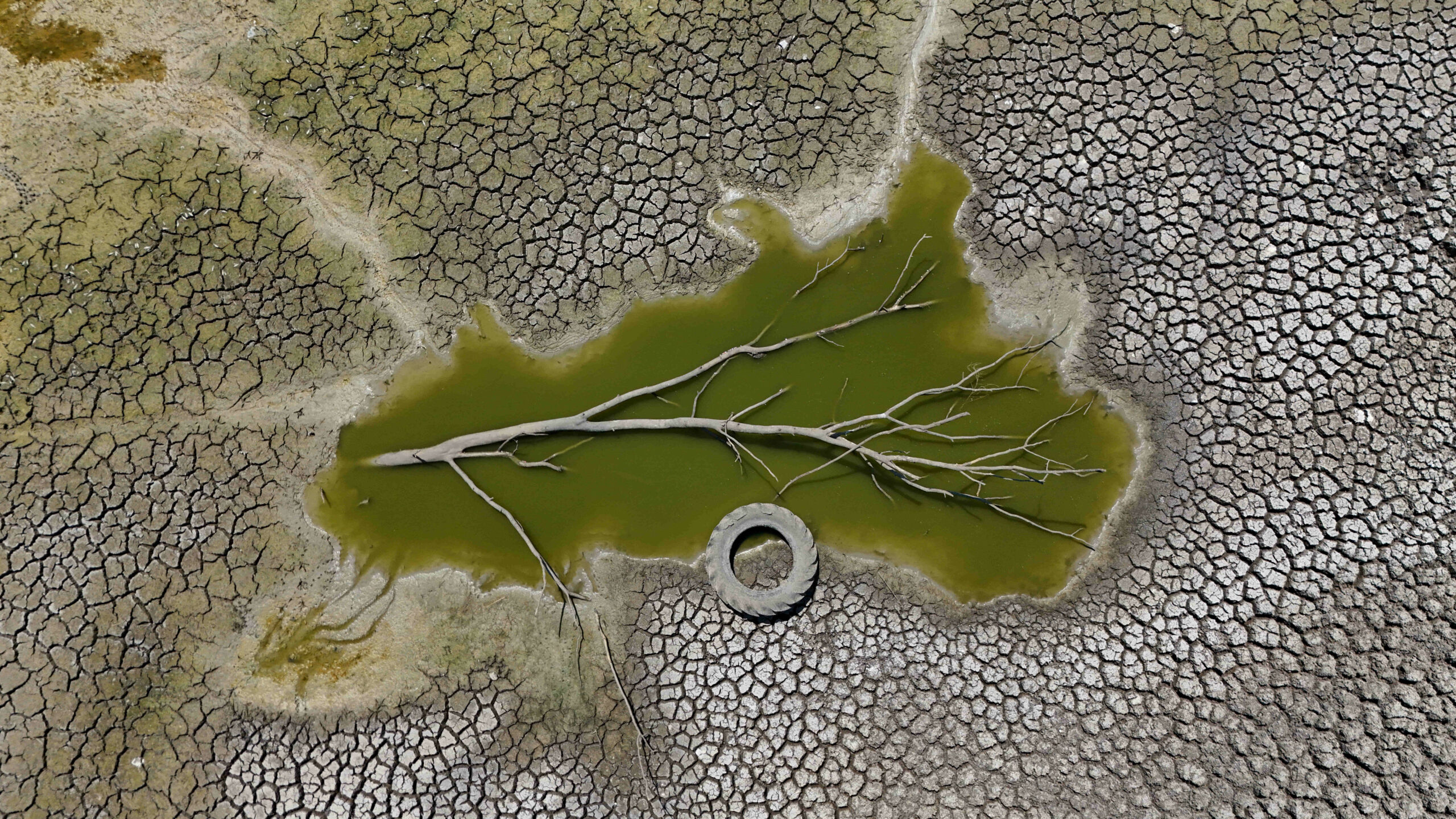 Schimbările climatice cauzează milioane de decese care ar putea fi prevenite