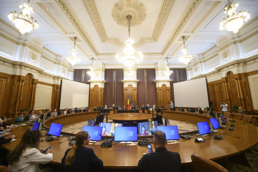 Prima ședință a Comisiei parlamentare „România fără violență domestică”. Ce măsuri au fost stabilite