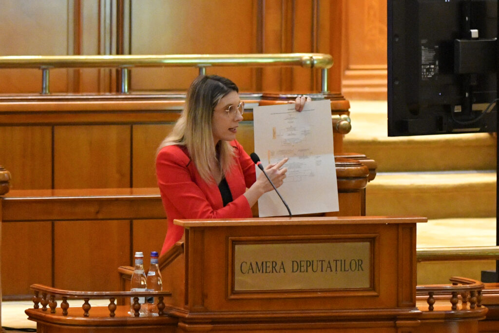 Moțiunea simplă împotriva ministrului Mediului, Diana Buzoianu, a fost respinsă