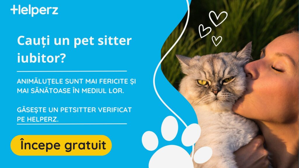 Gata cu grija animalelor de companie în vacanță: Helperz.ro lansează noul serviciu de Petsitting