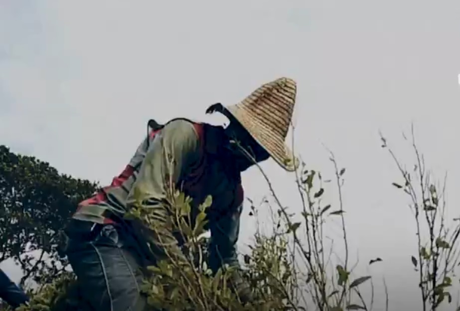 SUA acuză Columbia că nu a cooperat în războiul împotriva drogurilor